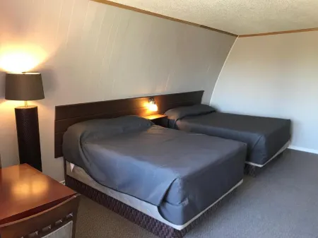 The Little Chalet Motel Отели в г. Брандон