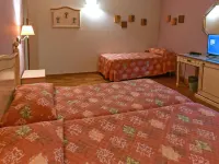 ホテル マテオッティ ヴェルチェッリのホテル