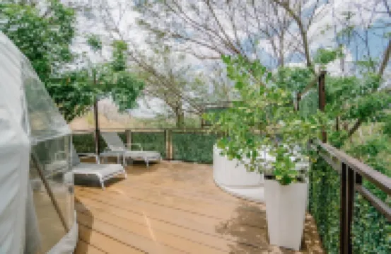 Glamping Tortuga Verde