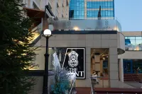 Irtysh Hotels in 