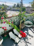 Pousada Arraial Caribe