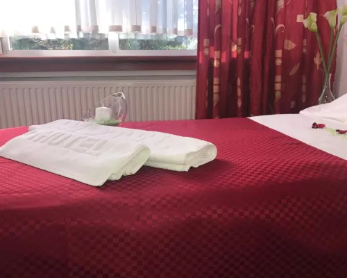 Park Hotel Hotels in Bihac