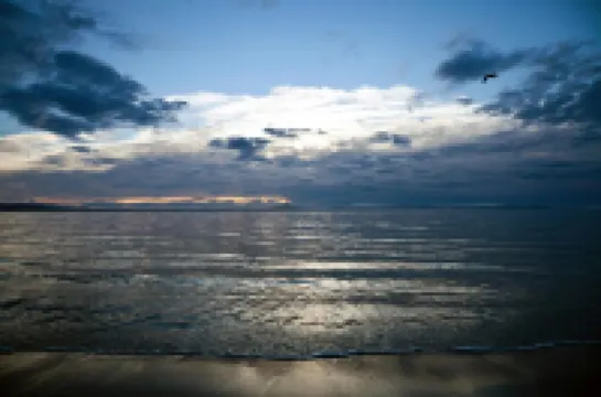 海豚SA1酒店 斯旺西酒店