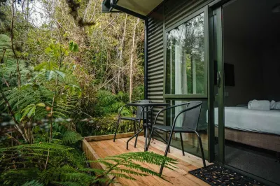 Forest View Franz Josef Hotels near Franz Josef Glacier Guides