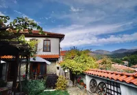 Iliikova House Hotels in 
