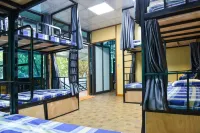 City Garden Hostel - Hostels