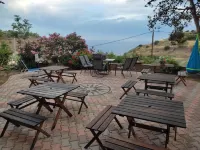 Zorbas Apartments