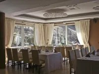 Centrum Green Hill Business & Spa Hotels in Wisla