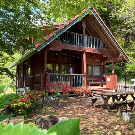 Sunny Side Cottage BBQ Campfire Around Nature