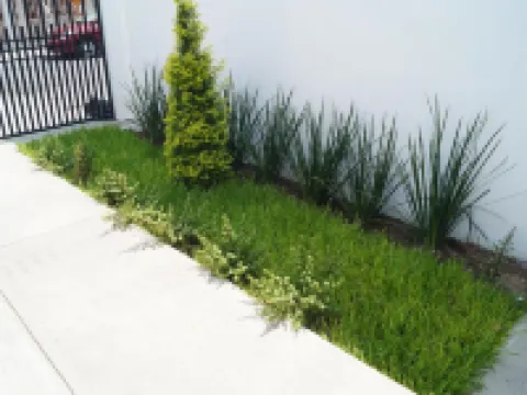 MV Suites Hotels in Guadalupe