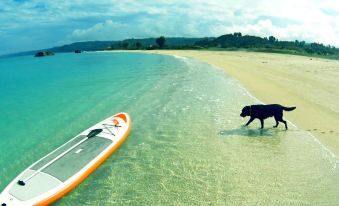 Okinawan. Sweet Home. T-8