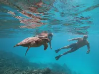 Isla Dhiffushi