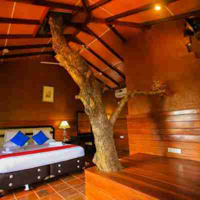 錫吉里亞叢林小屋度假村 Rooms