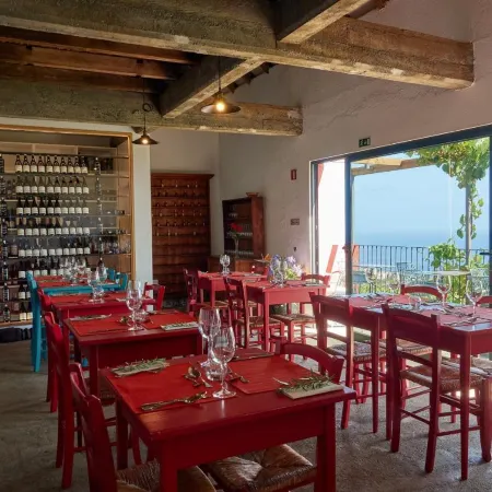 Quinta Das Vinhas