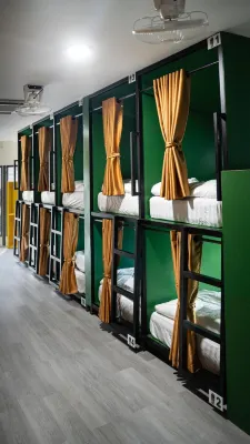 The highdogs hostel