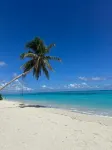 Ambra Maldives