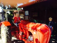 Der Obere Wirt Zum Queri Hotels in Andechs