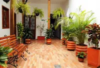 Arche Noah Boutique Hostel Hotels in 