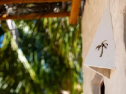 Hotel Boutique Can Cocal El Cuyo โรงแรมในทิซิมิน