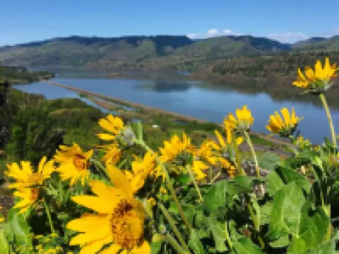 The Dalles Inn Hotels in The Dalles