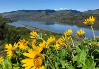 The Dalles Inn Hotels in The Dalles