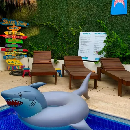 Shark Town Mal Pais