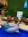 Shark Town Mal Pais - Beach