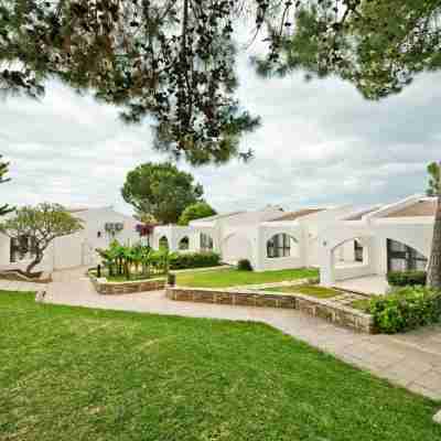 ザ オリーブ ツリー ホテル Hotel Exterior