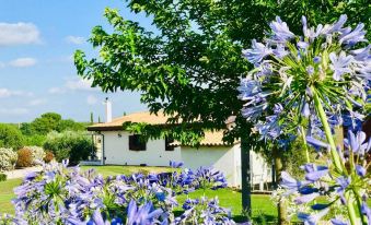 La Collina Delle Fonti