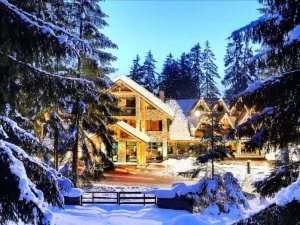 호텔 트리 스터드니키