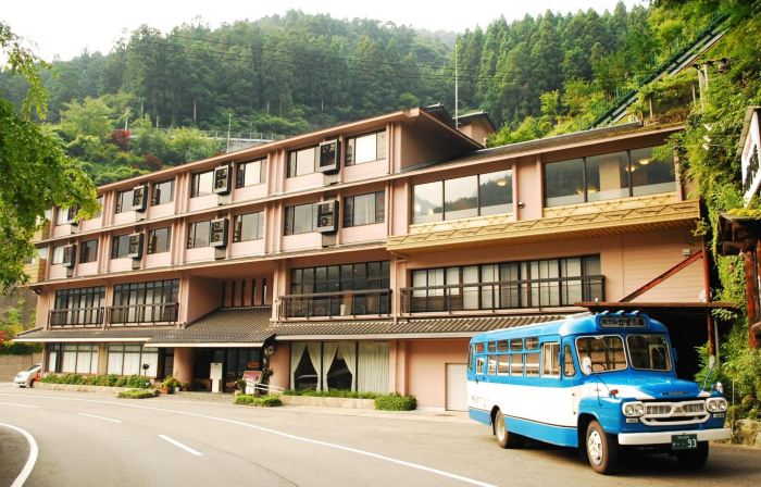 SHINIYAONSEN HOTEL KAZURABASHI