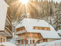 Hotel & Restaurant Grüner Baum - Die Grüne Oase am Feldberg Hotels in Feldberg