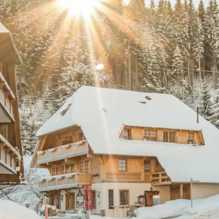 Hotel & Restaurant Grüner Baum - Die Grüne Oase am Feldberg