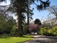 Banoge House Hotels in Moira