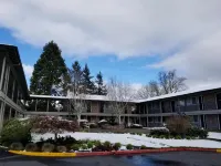 Village Inn Hotels in Springfield