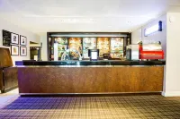 Barony Castle Hotel - bar