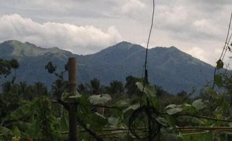 Zacona Eco-Resort & Biblical Garden