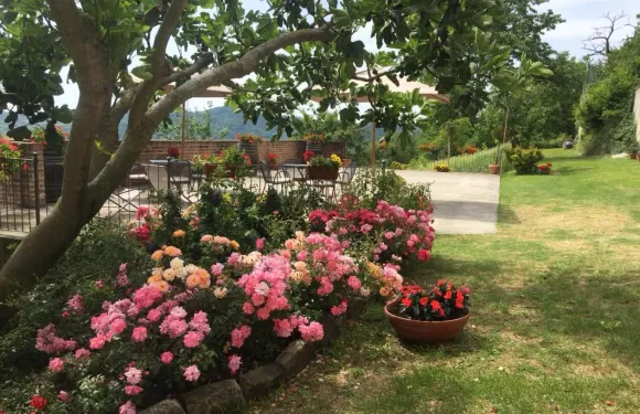 坎迪內塔度假酒店