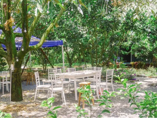 Homestay Vuon Trai Cay Nhiet Doi VO UU Garden فنادق في Dam Bri