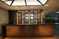 Nacional Inn Poços de Caldas - ที่มีบาร์