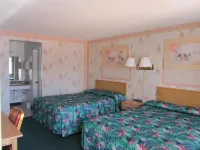 Motel 8 Willcox