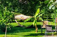 Pension Sunnhofer Hotel a Andriano