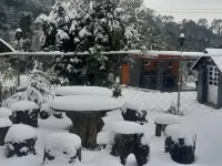 The Wild Planet - Treehouses & Cottages Hotels in Kangra