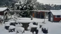 The Wild Planet - Treehouses & Cottages - Breakfast