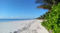 Zanzibar Bahari Villas - Afhentnings-/afleveringstjenester
