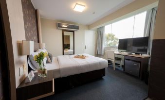 Palmetto Hotel Business San Miguel