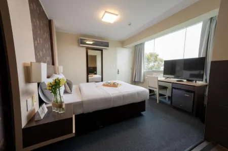 Palmetto Hotel Business San Miguel