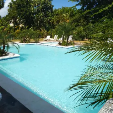 The Alpha Monkey hotel & Tree house - Housity