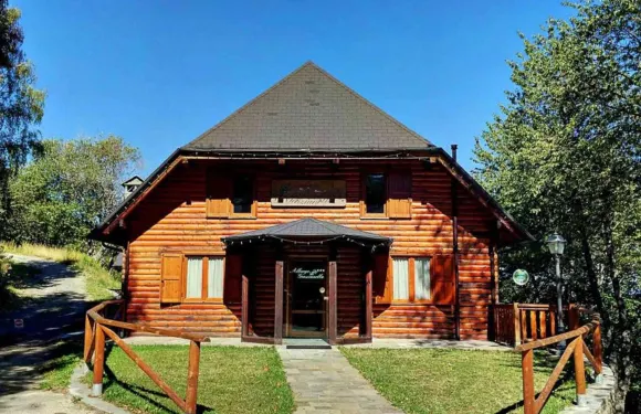 阿爾貝格金澤雅妮拉旅館