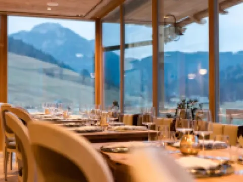 Boutique Hotel Vila Planinka Hotels in Kranj